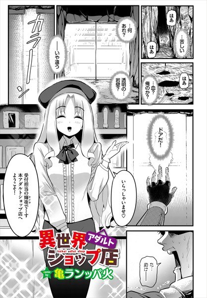 Another world adult shop store (single story) メイン画像