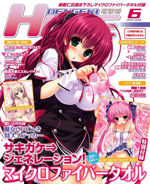 DENGEKI HIME 2014年6月号 メイン画像