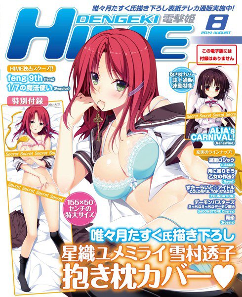 DENGEKI HIME 2014年8月号 メイン画像