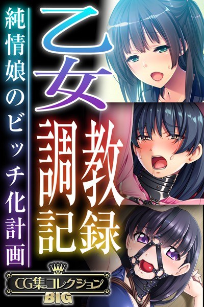 乙女調教記録〜純情娘のビッチ化計画〜【CG集コレクションBIG】 メイン画像