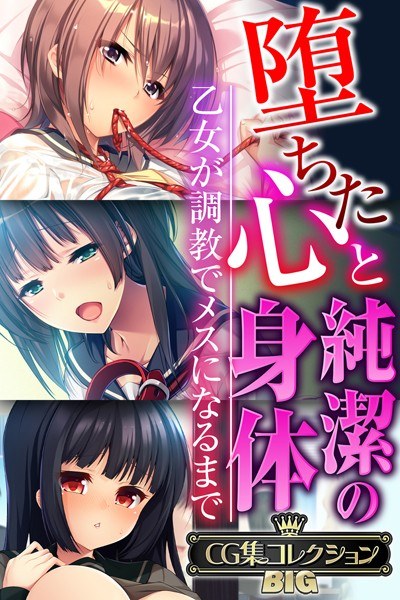 堕ちた心と純潔の身体〜乙女が調教でメスになるまで〜【CG集コレクションBIG】