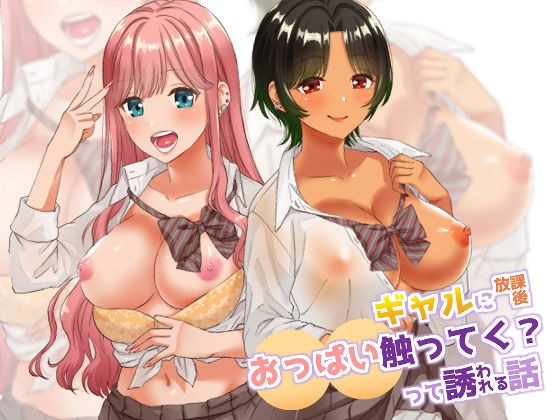 Do you touch the boobs after school to the gal? The story that is invited メイン画像