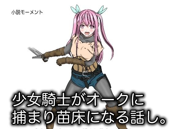 少女騎士がオークに捕まり苗床になる話し。 メイン画像