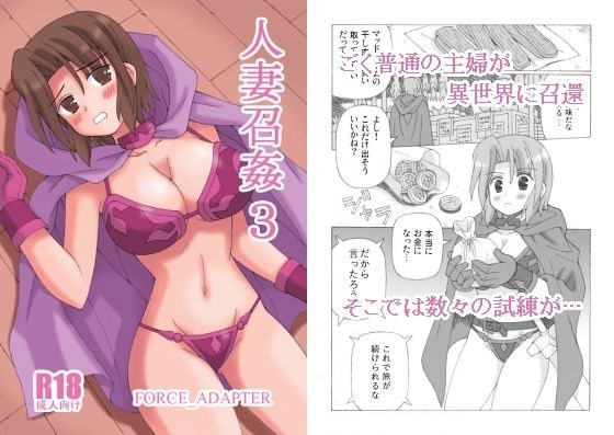 人妻召奸 3 メイン画像