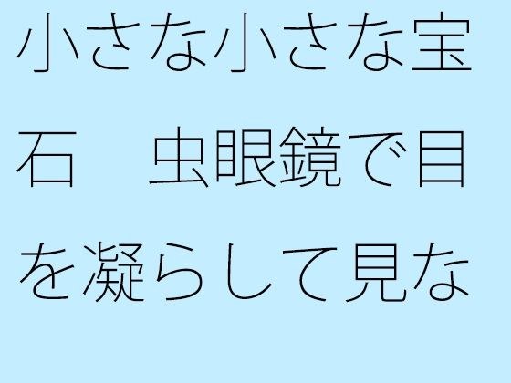 小さな小さな宝石 虫眼鏡で目を凝らして見ないと見えない