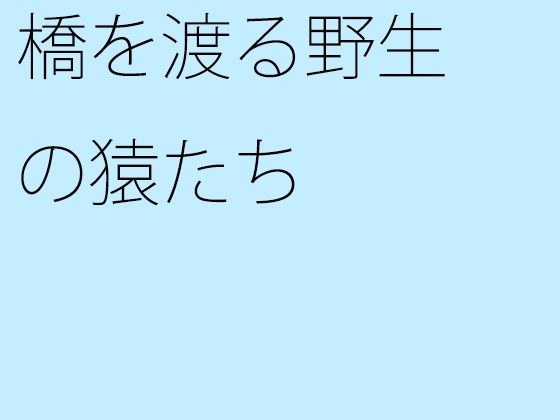 橋を渡る野生の猿たち