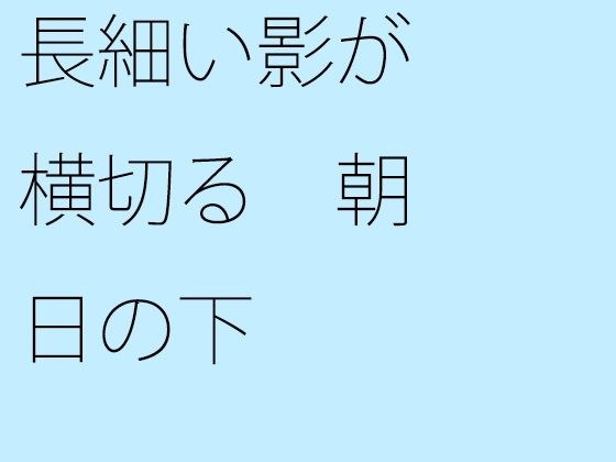 長細い影が横切る 朝日の下