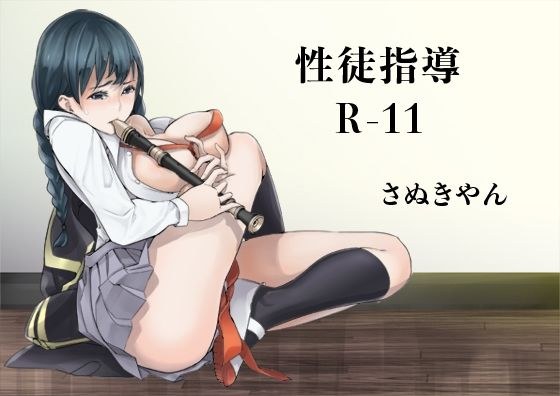 Sex guide R-11 メイン画像