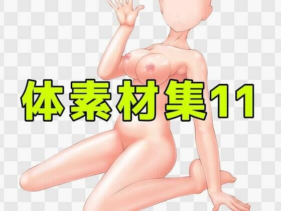 Body material collection 11 メイン画像