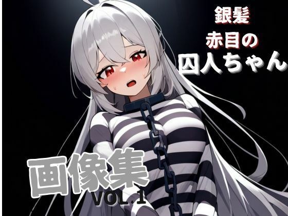 Silver-haired red-eyed prisoner image collection VOL.1 メイン画像