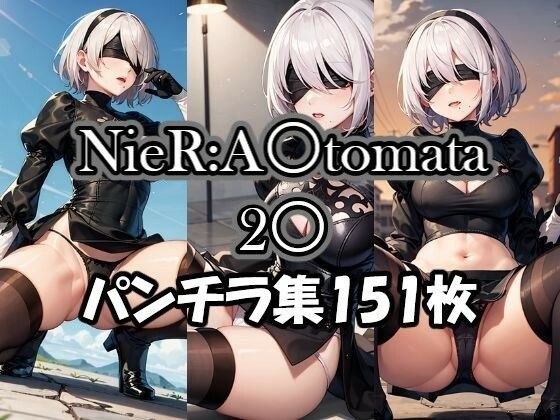 NieR Tomata 20 内裤镜头合集 メイン画像