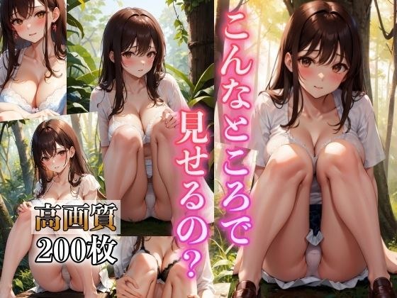 こんなところで見せるの 〜とってもエッチなパンチラ少女〜