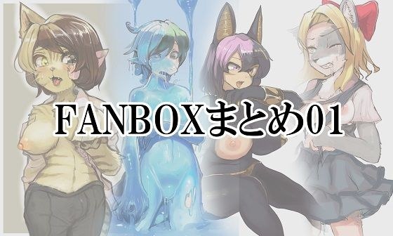 FANBOX summary 01