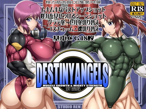 DESTINY ANGELS メイン画像