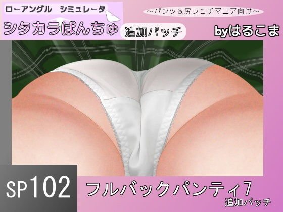 SP102 Full Back Panty 7 additional patch メイン画像