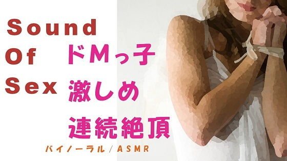 Sound Of Sex 出会い系でつかまえたドMっ娘にバイノーラルマイクをつけて激しめ調教SEX！！