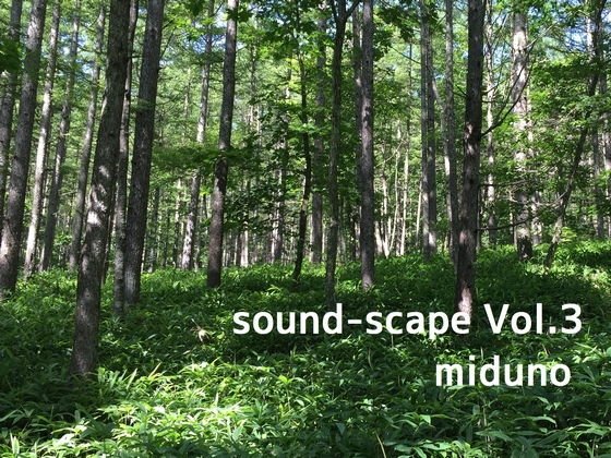 Natural Sound-Minami Shinano-Waterfall 01 (Binaural recording) メイン画像