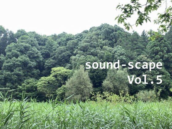 環境音 - 横浜 / 四季の森公園 - 夏・せせらぎ01＃2 （バイノーラル） メイン画像
