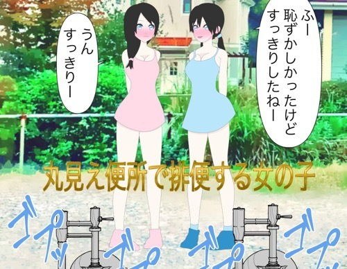 丸見え便所で排便する女の子