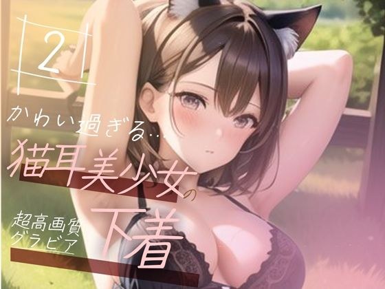 [Super high-quality gravure photo collection] Underwear of a cat-eared beautiful girl. 50 cute pictures ~ 2 volumes ~