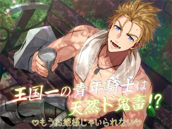 Private Night Story ~Otome 04~ &quot;The best young knight in the kingdom is a natural devil!? ~I can&apos;t be a princess anymore~&quot;