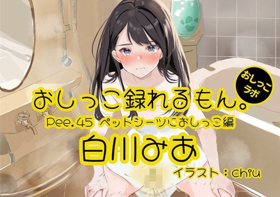 [Peeing demonstration] Pee.45 Mia Shirakawa's pee can be recorded. ~ Peeing on pet sheets ~ メイン画像