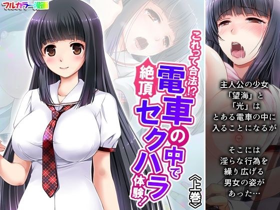 This is legal! ? Climax sexual harassment experience on the train! Volume 1 メイン画像