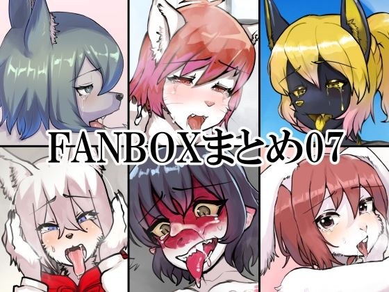 FANBOX summary 07