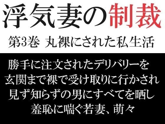 浮気妻の制裁 第3巻 丸裸にされた私生活