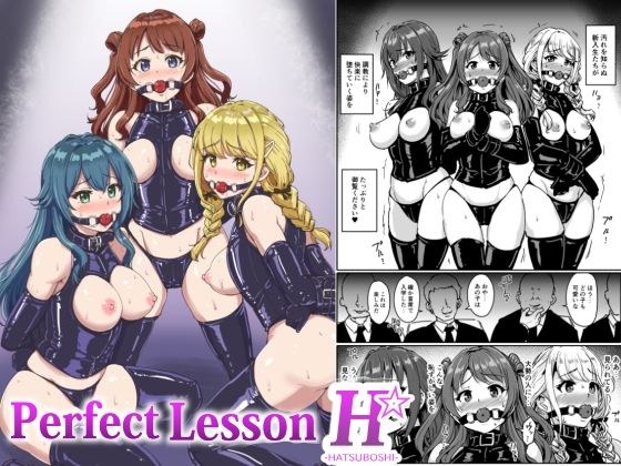 PerfectLessonH メイン画像