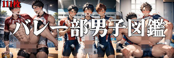 Volleyball club men's encyclopedia メイン画像