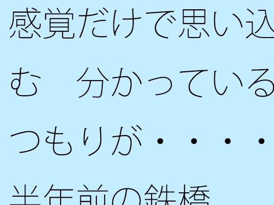 【無料】感覚だけで思い込む 分かっているつもりが・・・・半年前の鉄橋 メイン画像