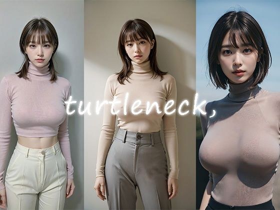 turtleneck， メイン画像