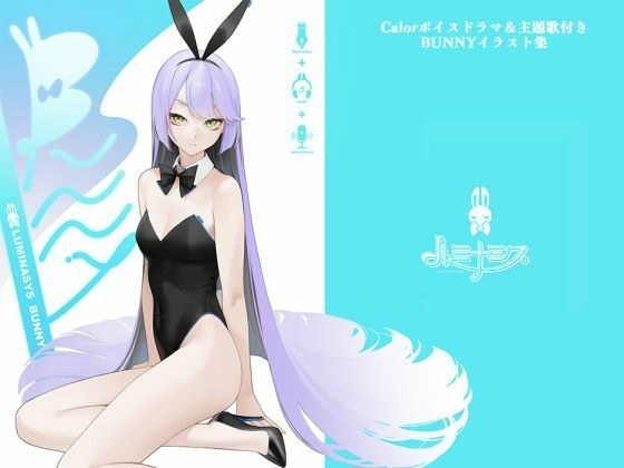 ルミナシスBUNNY メイン画像