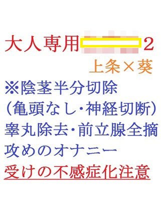 大人専用〇〇〇２