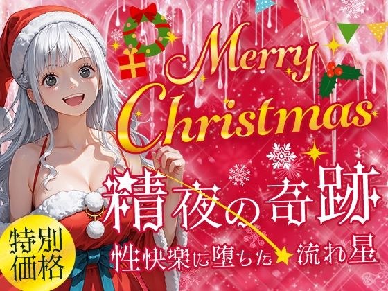 Merry Cristmas 精夜の奇跡 性快楽に落ちた流れ星