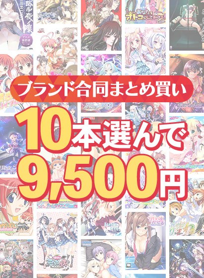 【まとめ買い】1，800作品以上から10本選んで9，500円！冬のブランド合同セット