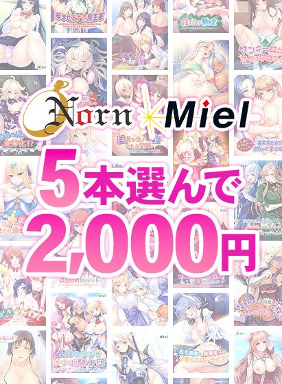 【大量购买】仅限夏季！只需 2,000 日元即可选择 5 种 Norn / Miel！ メイン画像