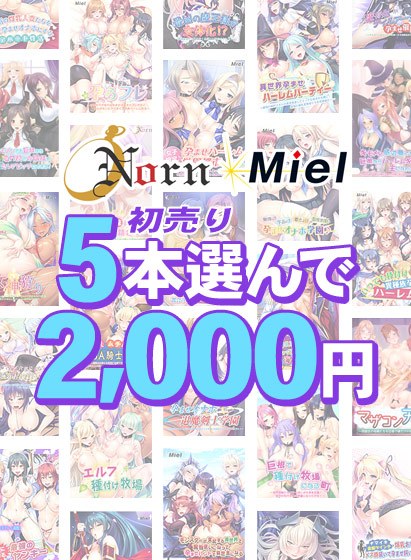 【まとめ買い】Norn／Miel初売り5本選んで2，000円！ メイン画像